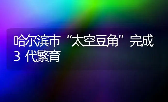 哈尔滨市“太空豆角”完成3代繁育 | 植物科普