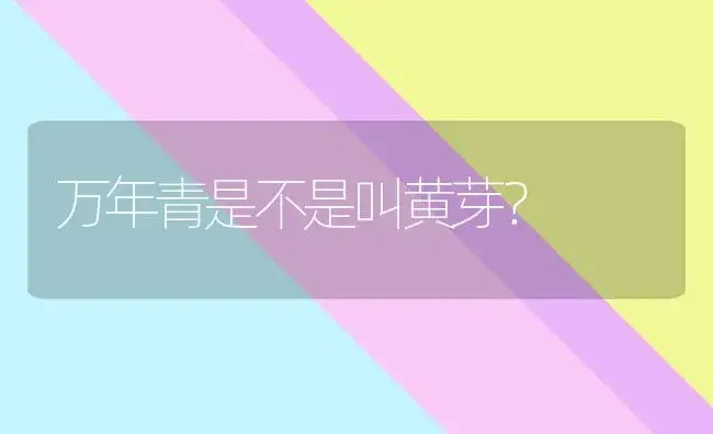 绿萝的生长过程和每个阶段的特点分别是什么？ | 植物问答