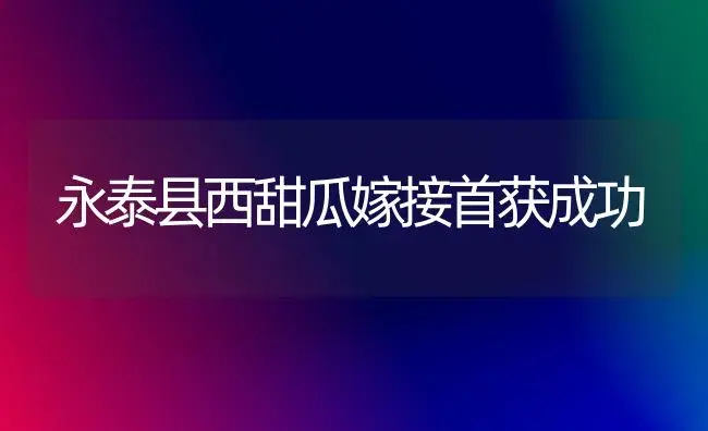 永泰县西甜瓜嫁接首获成功 | 植物科普