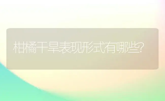 大果牟农F1甜椒丰产栽培技术 | 植物科普
