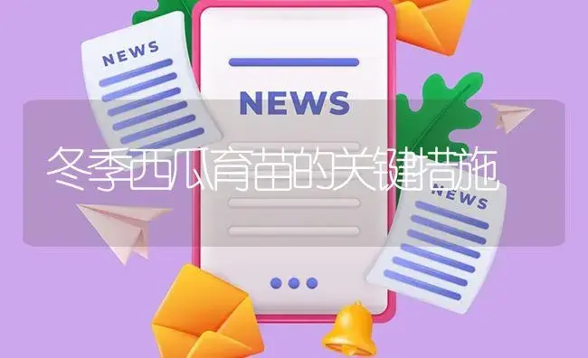 冬季西瓜育苗的关键措施 | 植物资料