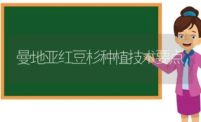 曼地亚红豆杉种植技术要点 | 植物知识