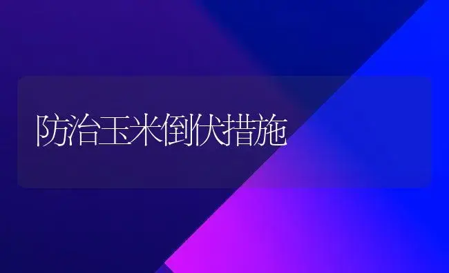 防治玉米倒伏措施 | 植物科普