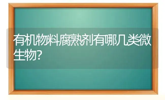 苹果品种--金晕(图) | 植物科普