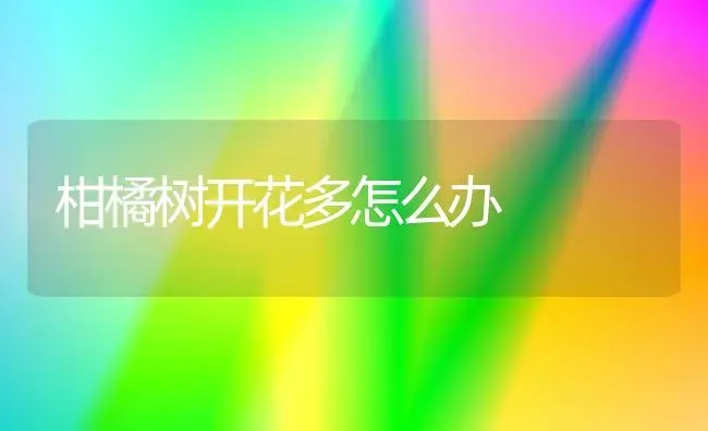 柑橘树开花多怎么办 | 植物科普