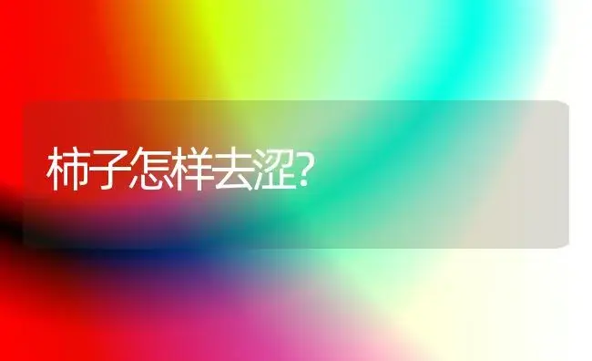 柿子怎样去涩？ | 植物百科