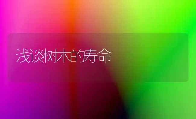 浅谈树木的寿命 | 植物科普