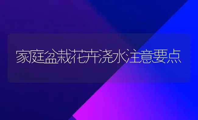 家庭盆栽花卉浇水注意要点 | 植物知识