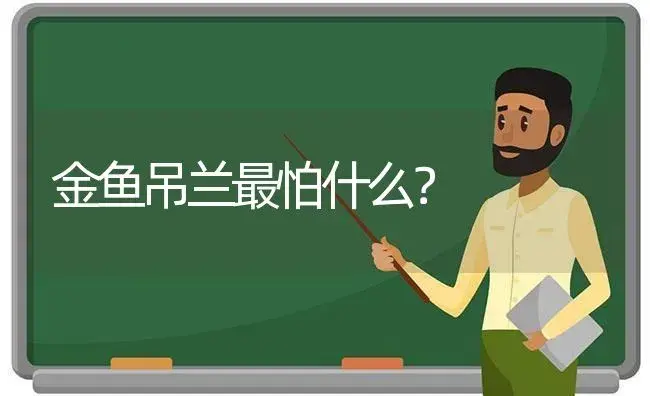 金鱼吊兰最怕什么？ | 植物问答