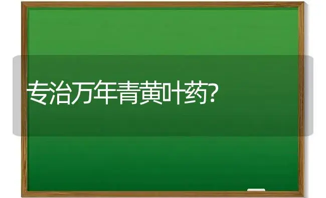 专治万年青黄叶药？ | 植物问答