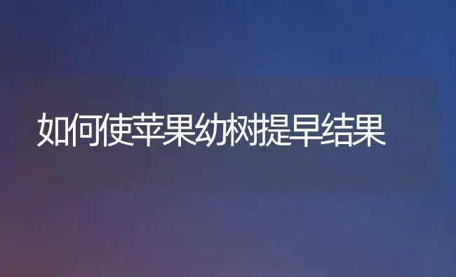 如何使苹果幼树提早结果 | 植物百科