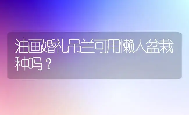 油画婚礼吊兰可用懒人盆栽种吗？ | 植物问答