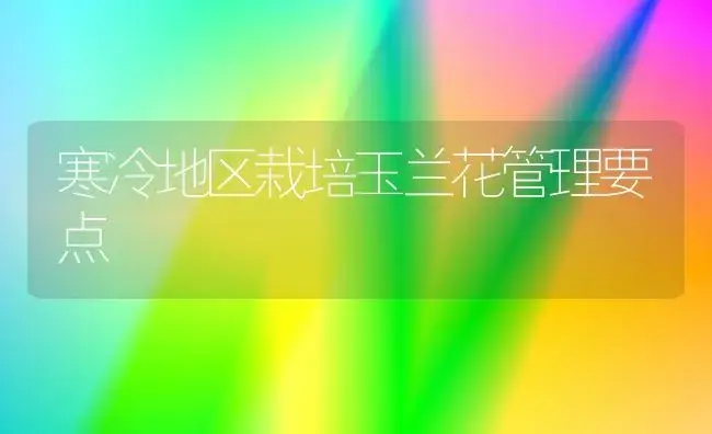 寒冷地区栽培玉兰花管理要点 | 植物科普