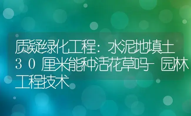 质疑绿化工程：水泥地填土30厘米能种活花草吗-园林工程技术 | 植物科普