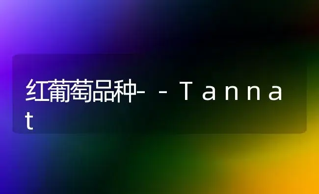 红葡萄品种--Tannat | 植物百科