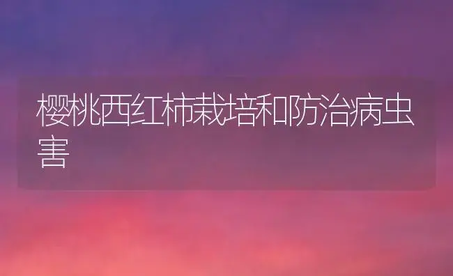 越冬大棚西红柿栽培技术 | 植物科普