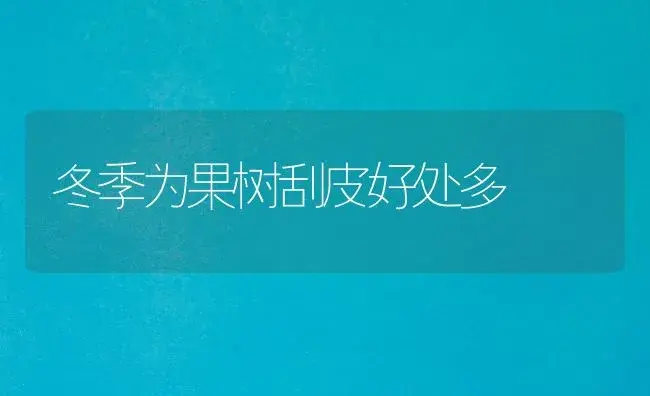 冬季为果树刮皮好处多 | 植物百科