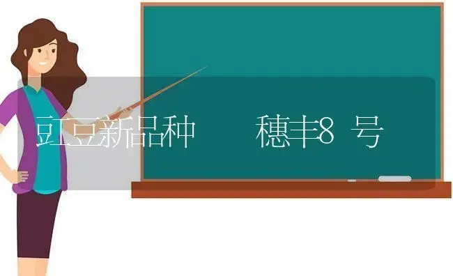 豇豆新品种――穗丰8号 | 植物科普