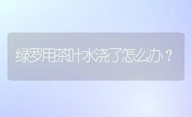 绿罗用茶叶水浇了怎么办？ | 植物问答