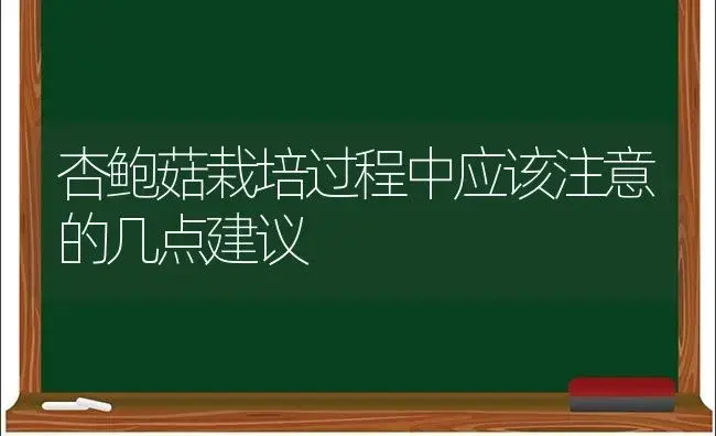 杏鲍菇栽培过程中应该注意的几点建议 | 植物科普