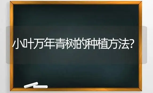 小叶万年青树的种植方法？ | 植物问答