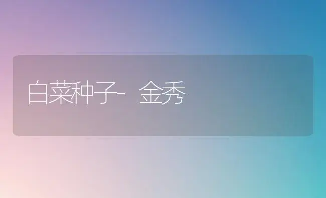 白菜种子-金秀 | 植物百科