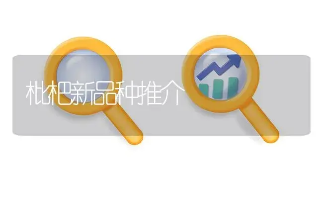 枇杷新品种推介 | 植物百科