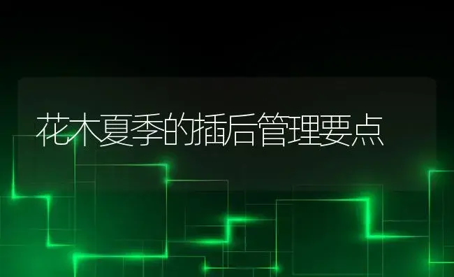 花木夏季的插后管理要点 | 植物科普