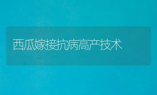 枇杷自发气调包装保鲜技术 | 植物百科