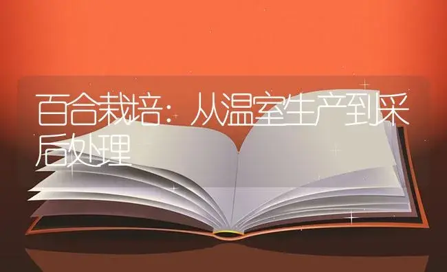 百合栽培：从温室生产到采后处理 | 植物知识