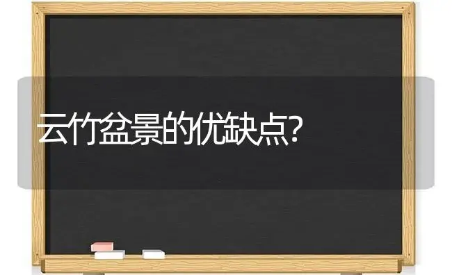 云竹盆景的优缺点？ | 植物问答