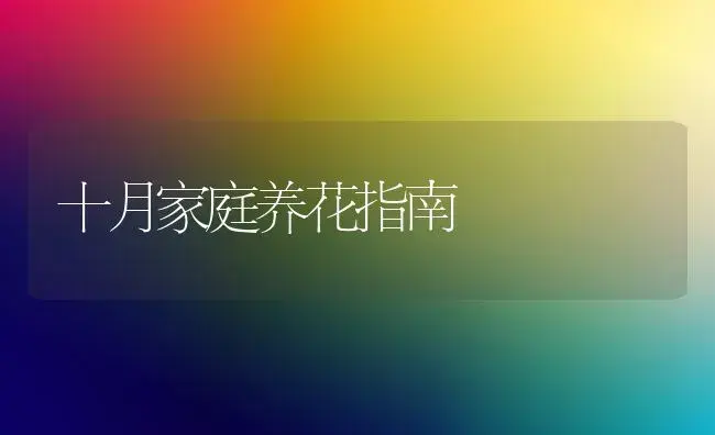 十月家庭养花指南 | 植物科普