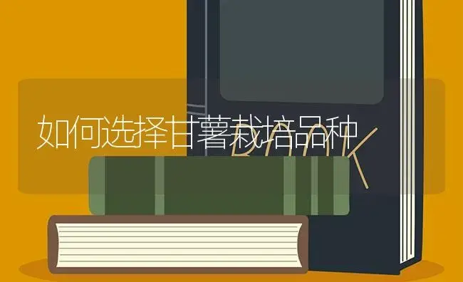如何选择甘薯栽培品种 | 植物百科