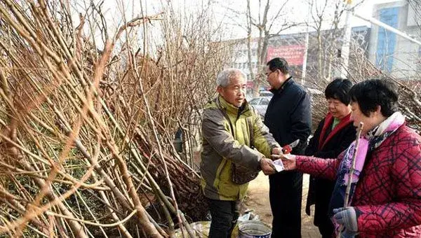 4月果树种植注意事项