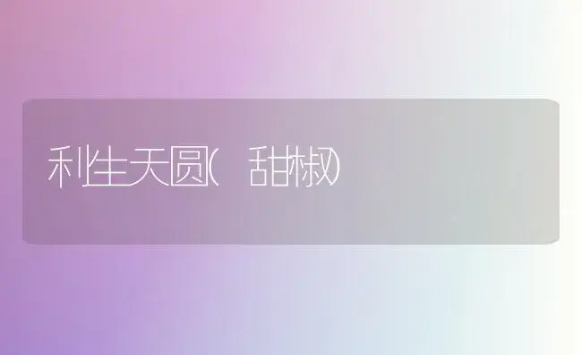利生天圆(甜椒) | 植物百科