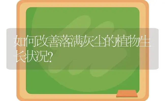 如何改善落满灰尘的植物生长状况? | 植物科普