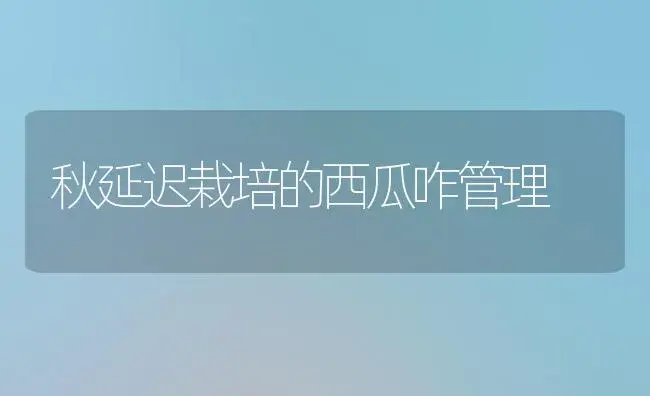 中国农业科学院郑州果树研究所－大樱桃品种简介 | 植物百科