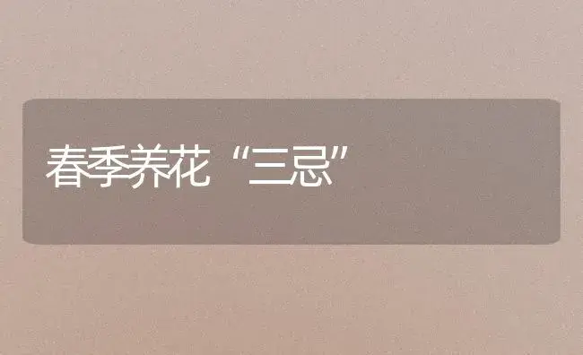春季养花“三忌” | 植物知识