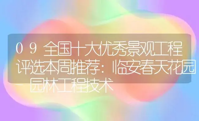 09全国十大优秀景观工程评选本周推荐：临安春天花园-园林工程技术 | 植物知识