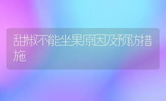 甜椒不能坐果原因及预防措施 | 植物科普