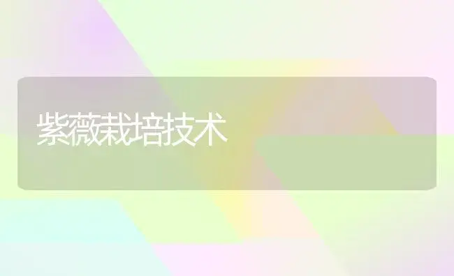 紫薇栽培技术 | 植物知识