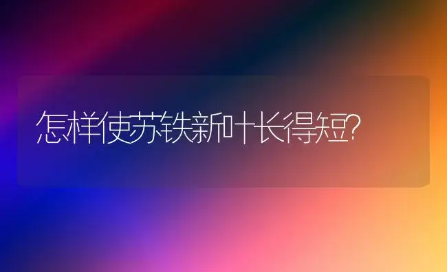 怎样使苏铁新叶长得短？ | 植物知识