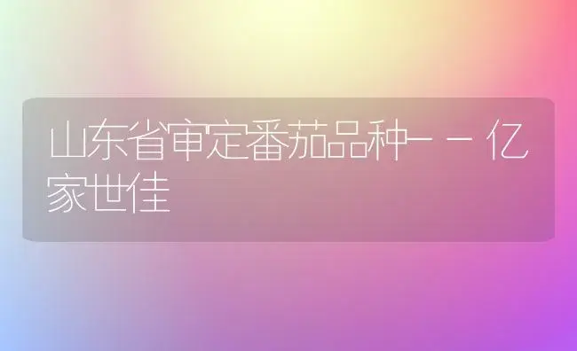 山东省审定番茄品种--亿家世佳 | 植物科普