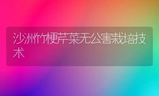 豇豆新品种――青豇1号 | 植物科普