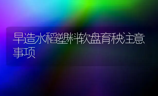 早造水稻塑料软盘育秧注意事项 | 植物科普