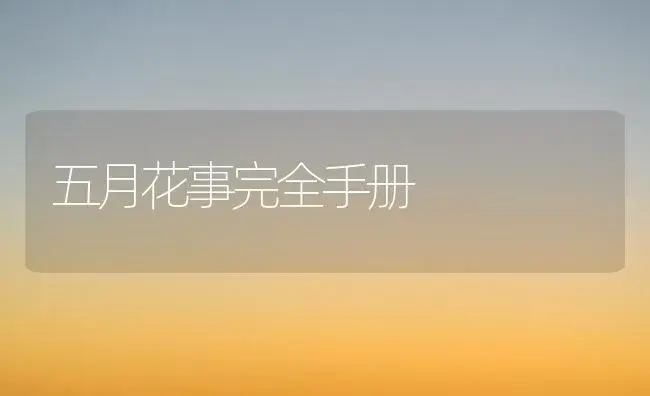 五月花事完全手册 | 植物科普