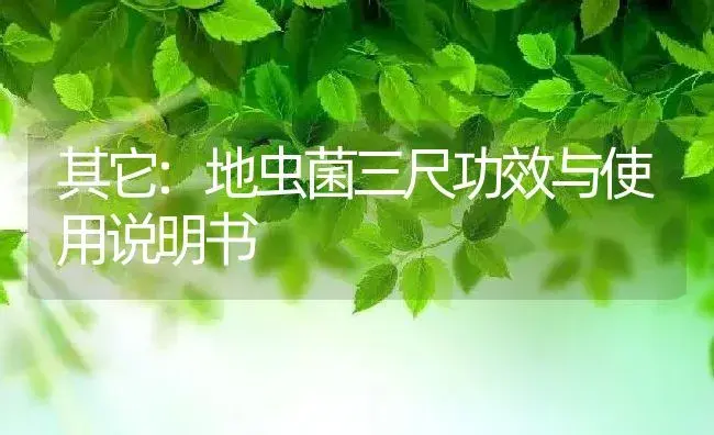 其它：地虫菌三尺 | 适用防治对象及农作物使用方法说明书 | 植物资料