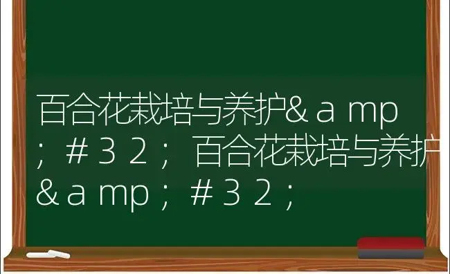 百合花栽培与养护 百合花栽培与养护  | 植物科普