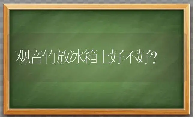 观音竹放冰箱上好不好？ | 植物问答