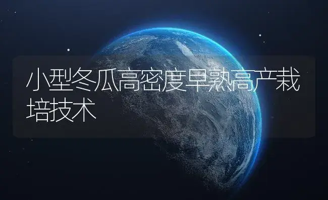 小型冬瓜高密度早熟高产栽培技术 | 植物百科